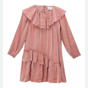 Zara ruffle shimmer dress